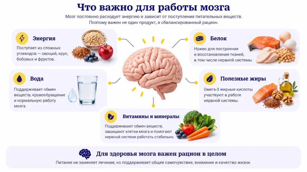 Для здоровья мозга важен рацион в целом