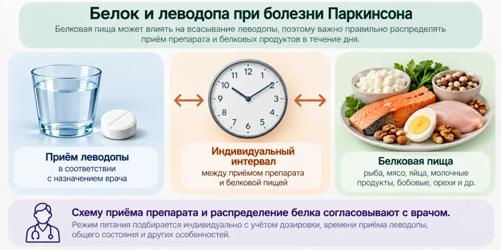 Белок и леводопа при болезни Паркинсона